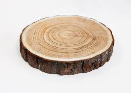 Log Slice – Various sizes